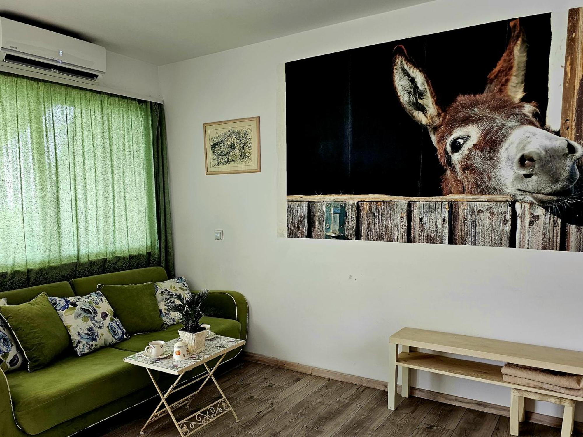 Apartment With A Magical View Split Zewnętrze zdjęcie